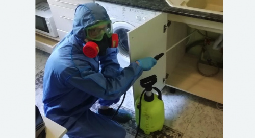 Уничтожение муравьев в квартире. Нязепетровск