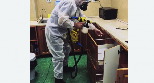 Уничтожение насекомых в квартире. Нязепетровск
