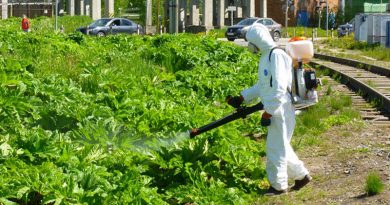 обработка от борщевика обработка от борщевика