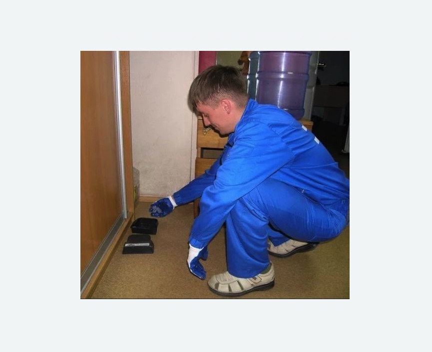 Дератизация крыс в Нязепетровске