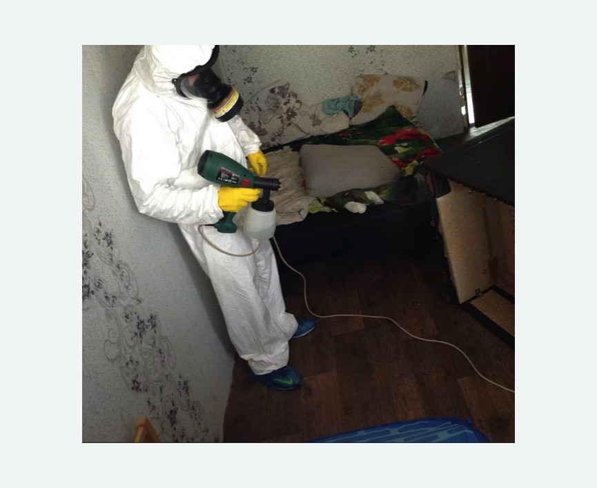 Обработка от насекомых в Нязепетровске Обработка квартиры от насекомых