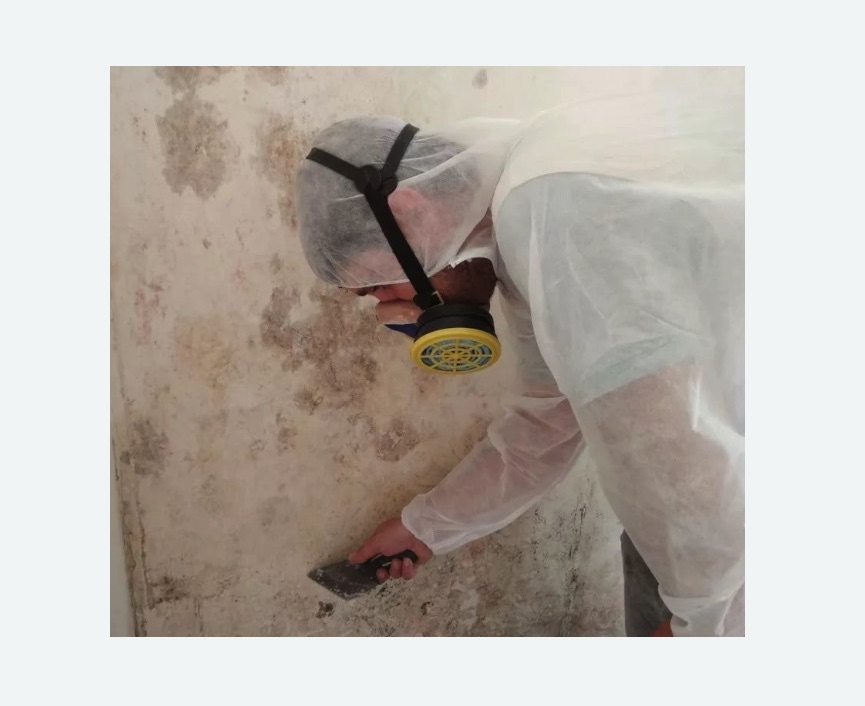 Обработка стен от плесени в Нязепетровске