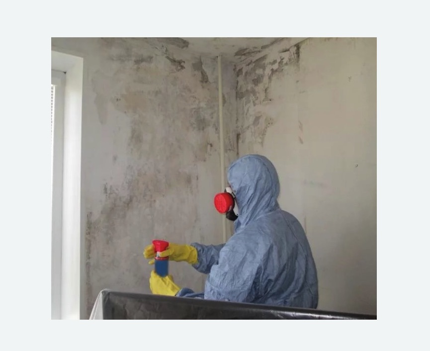 Удаление плесени в квартире в Нязепетровске