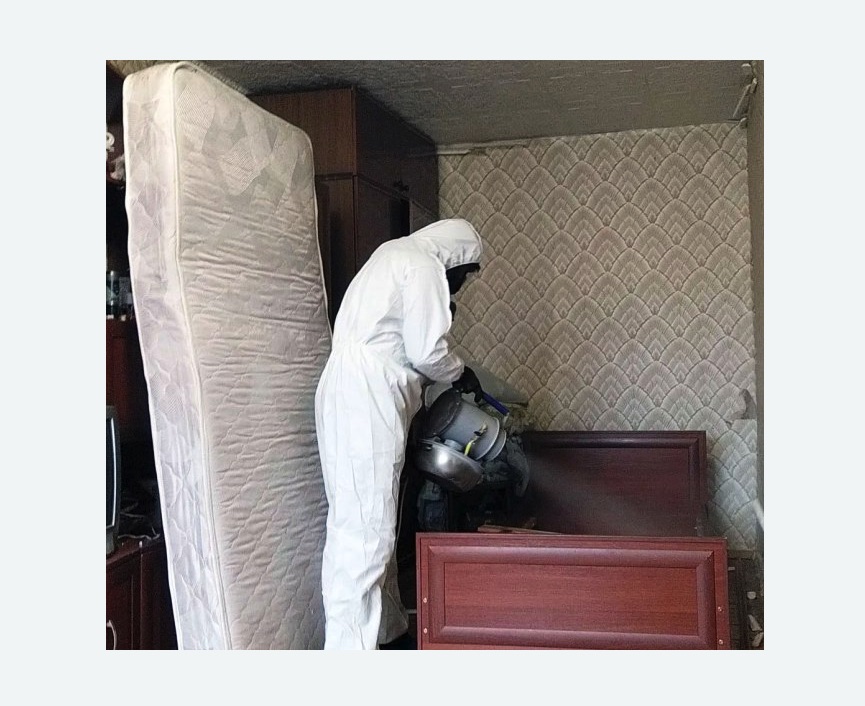 дезинфекция от клопов в Нязепетровске