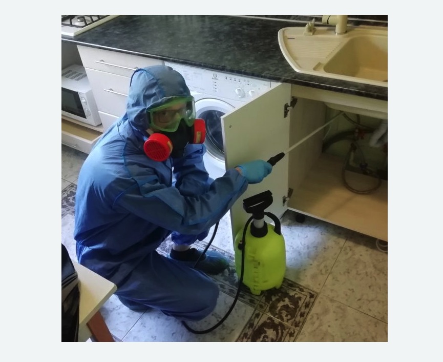 обработка от муравьев в квартире в Нязепетровске