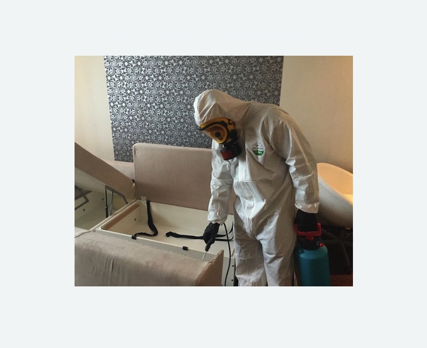 уничтожение клопов в квартире в Нязепетровске