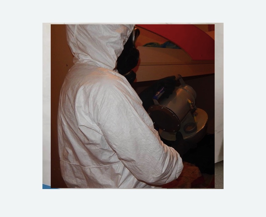 Дезинфекция от муравьев в Нязепетровске