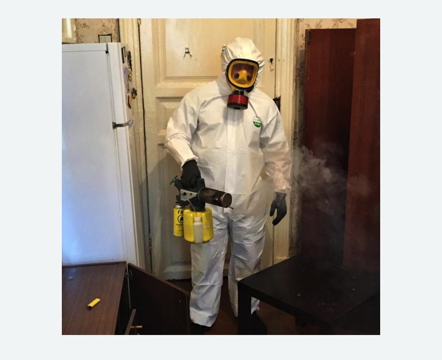 уничтожение муравьев в квартире в Нязепетровске